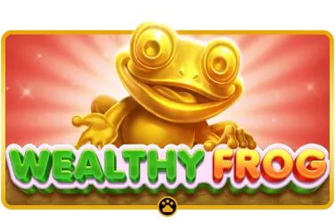 big cash mobile APP Android iOS